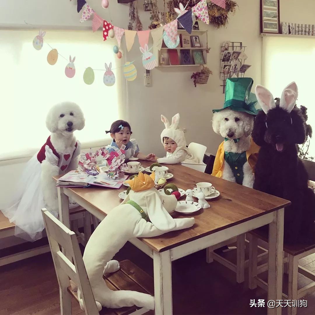 谁说怀孕要送走狗狗？如今狗狗成了孩子专属保镖啦