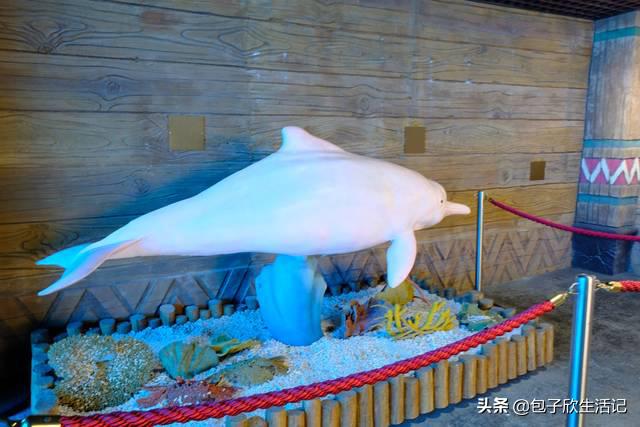 亲子珠海长隆海洋王国一日游攻略,珠海长隆海洋王国游玩攻略亲子