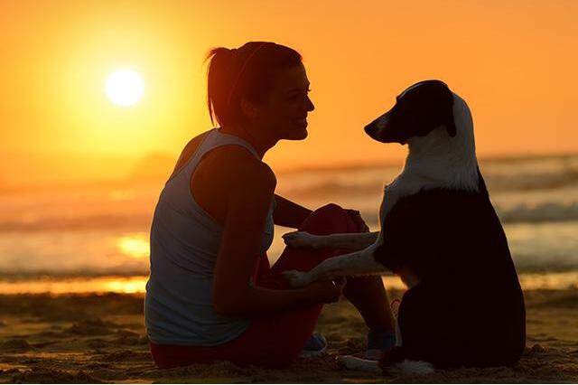 十大不建议养的小型狗,最难养的5种狗没想到第一名是它