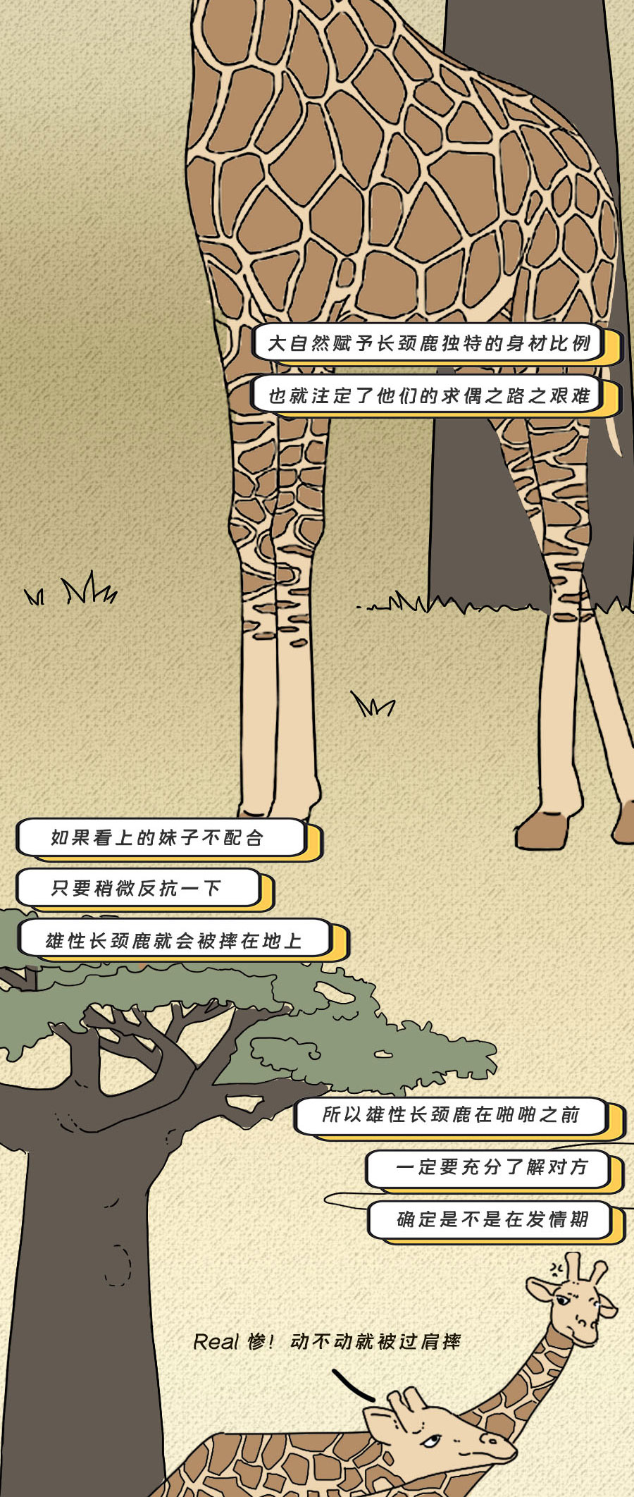 那些羞羞的事：动物是如何啪啪啪的？