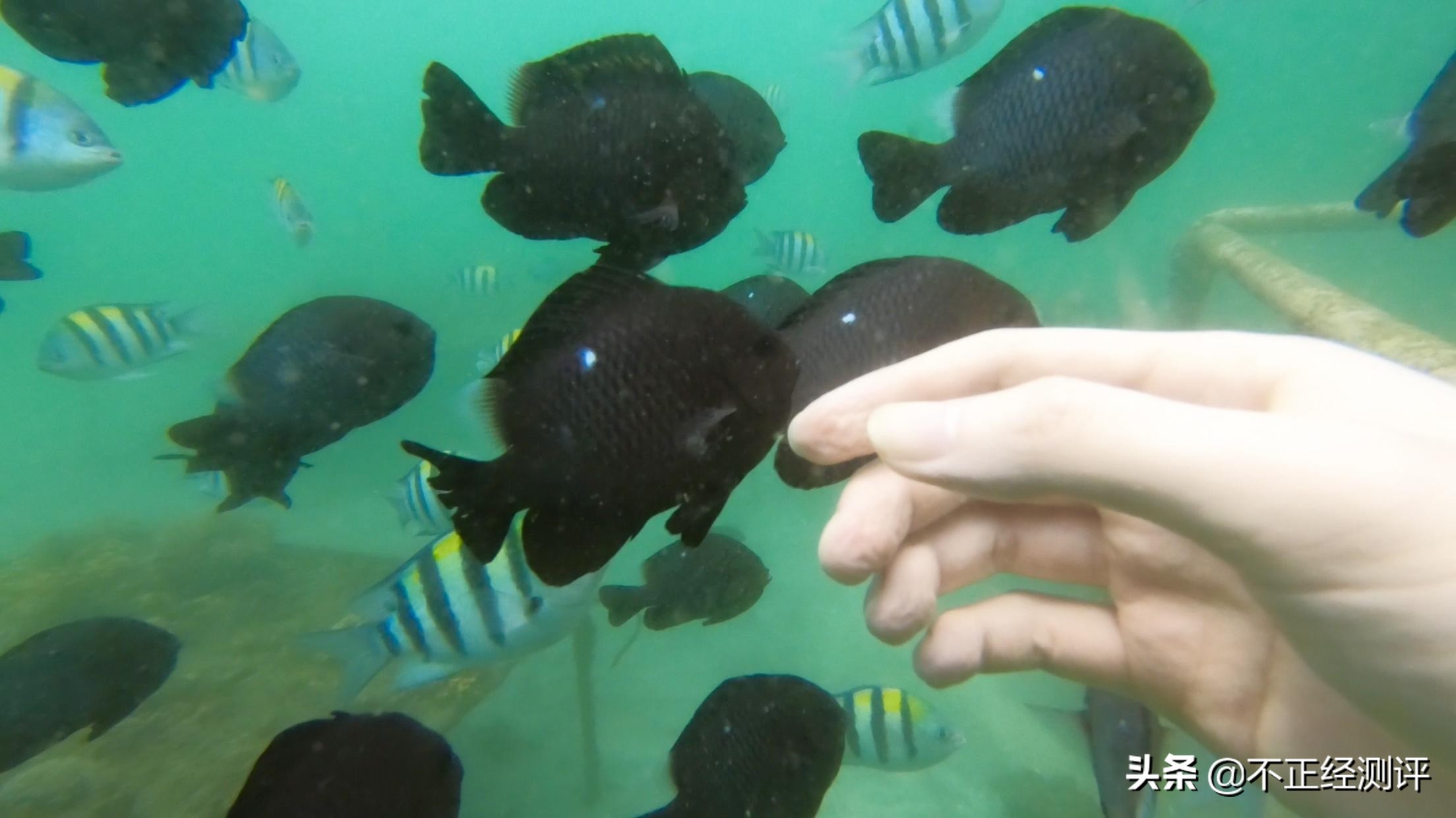 巴厘岛旅游攻略自由行攻略,巴厘岛的自由行旅游攻略