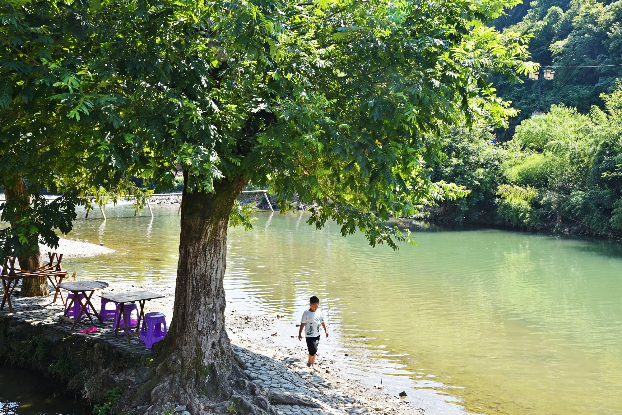 景德镇近代瓷器发展,千年瓷都景德镇有哪些瓷器