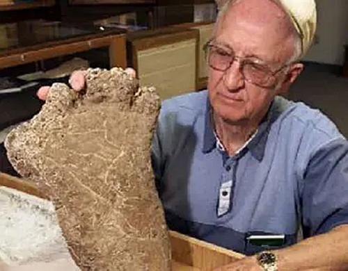 没有金字塔,没有金字塔的世界