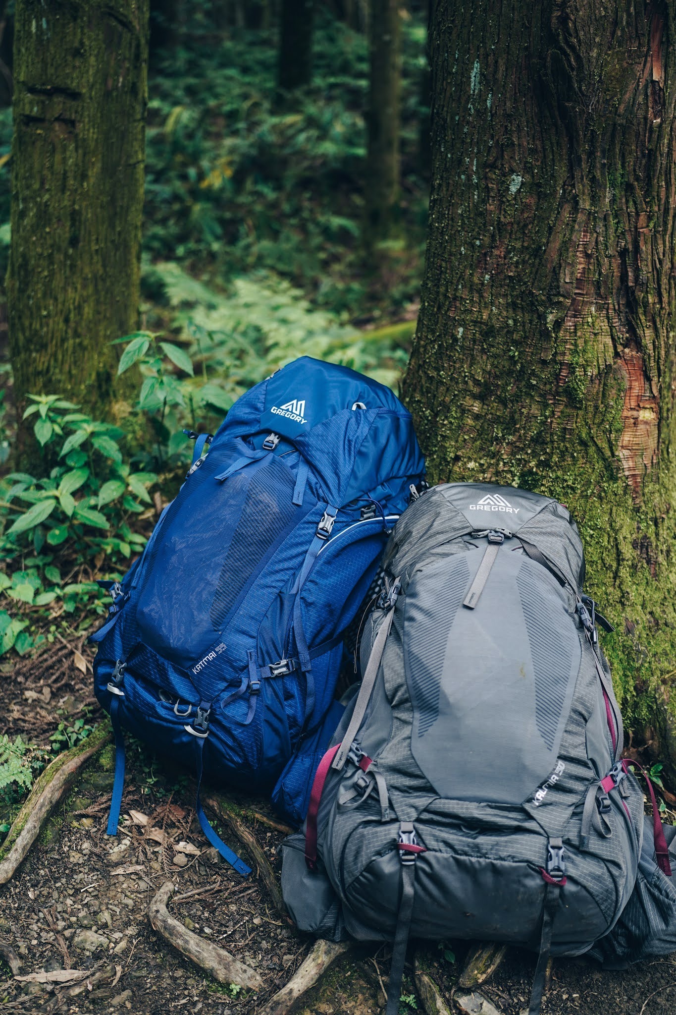 格里高利背包款式推荐,格里高利登山背包60升尺寸