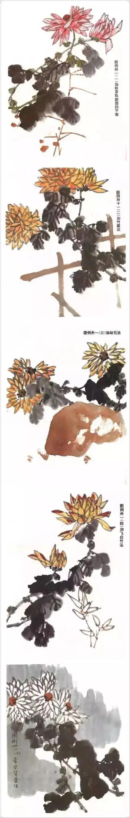 各种花卉的画法大全图片,各种花卉画法步骤图