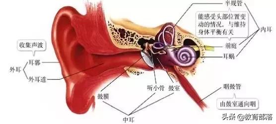 初中生物会考复习计划,初中生物会考复习资料全套