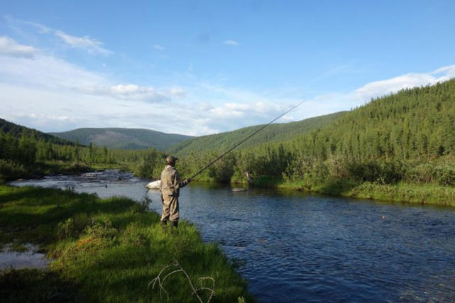 阿勒泰地区，追寻这种冷水溪流中的精灵“花翅子”现在已经禁钓