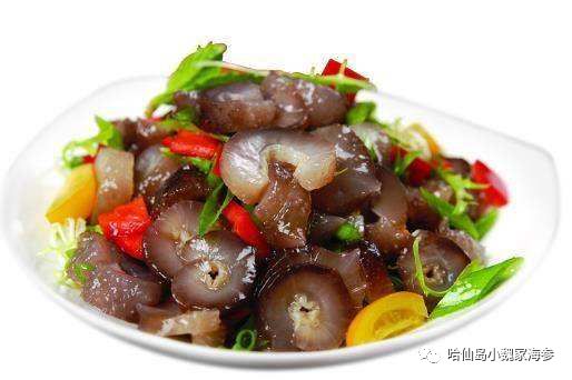 海参的做法，家常做法大全，怎么做好吃？