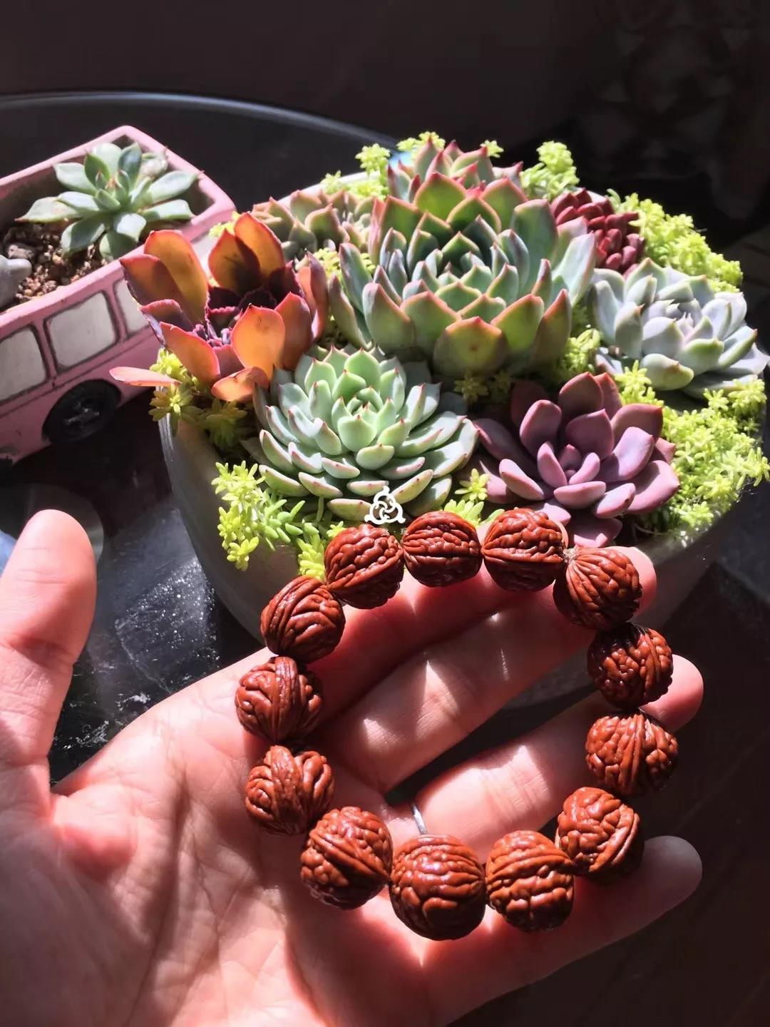 小桃核手串玩半个月什么效果,桃核手串买来怎么玩