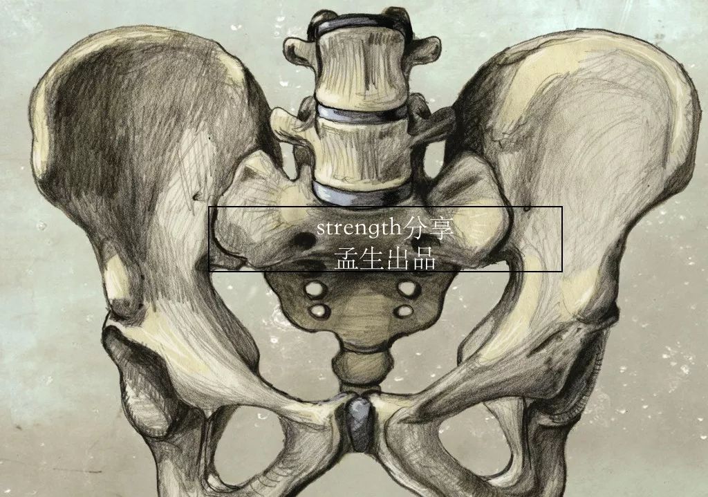 盆底健康知识讲座大全,盆底健康科普知识