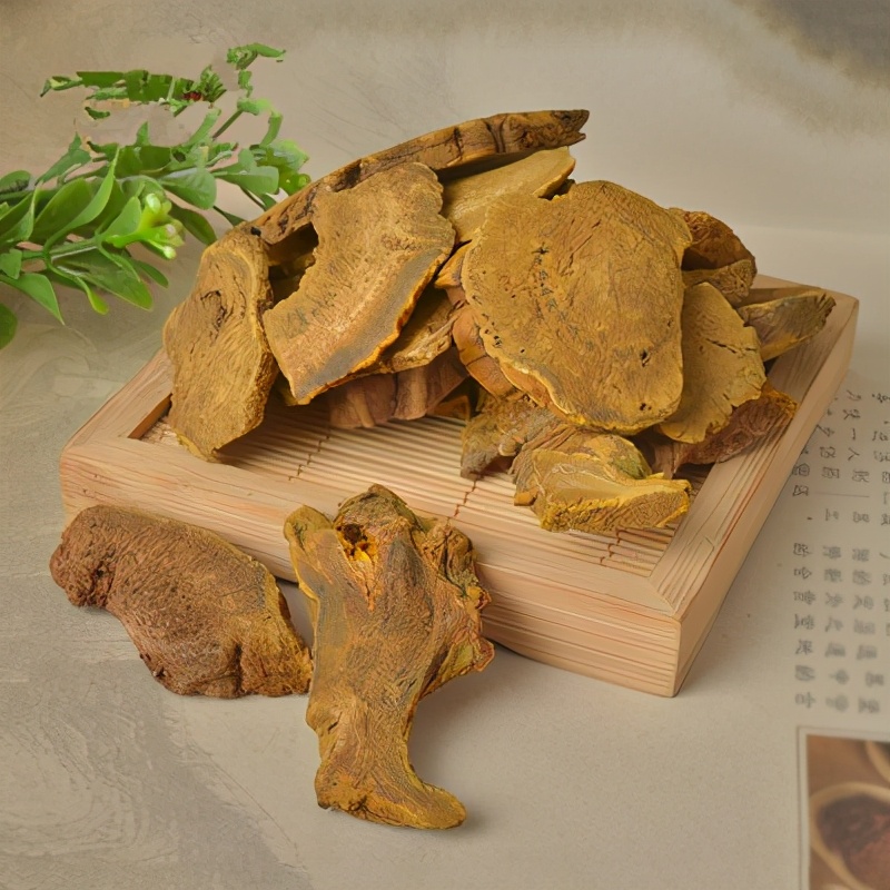 大黄去淤血通脉络,大黄治瘀血