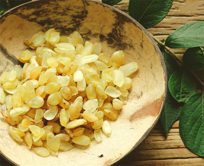 这种树全身都是宝药用价值很高,最有营养价值的树