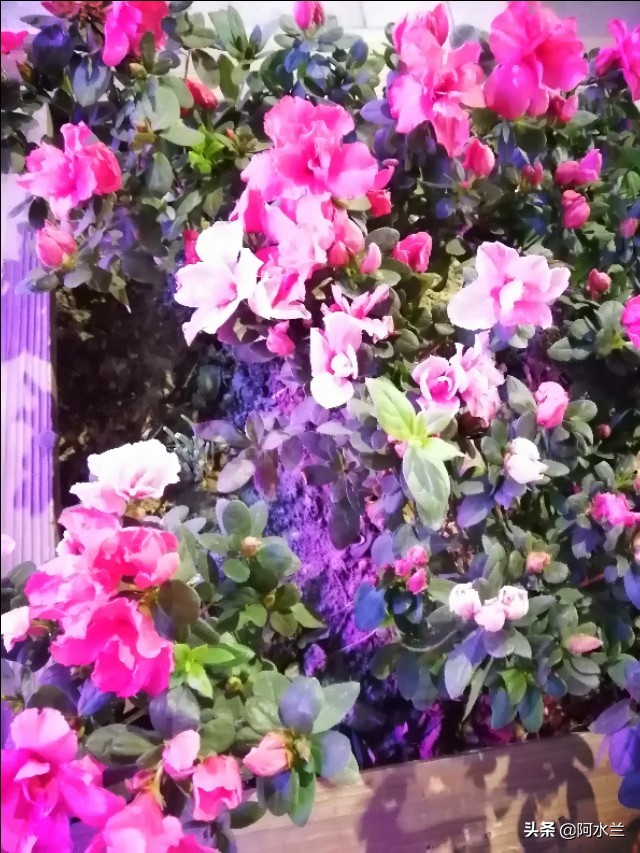 爱情到底要不要顺其自然,对待爱情和友情的态度一样不强求