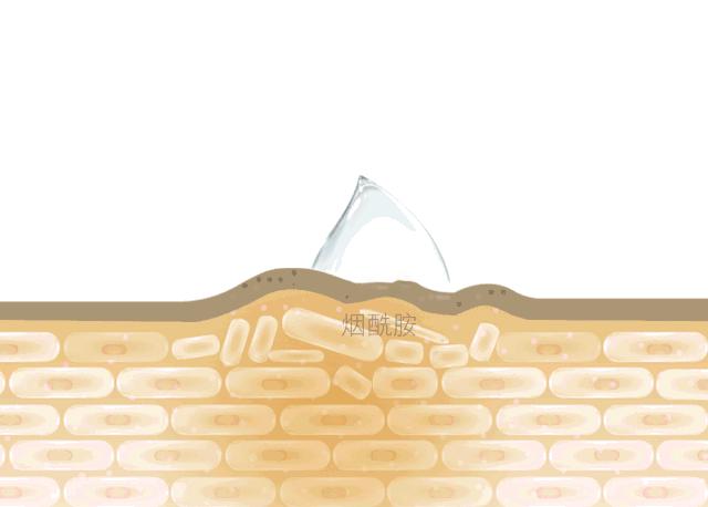 怎么辨别sk2的小灯泡真假,sk2小灯泡真假鉴别红瓶