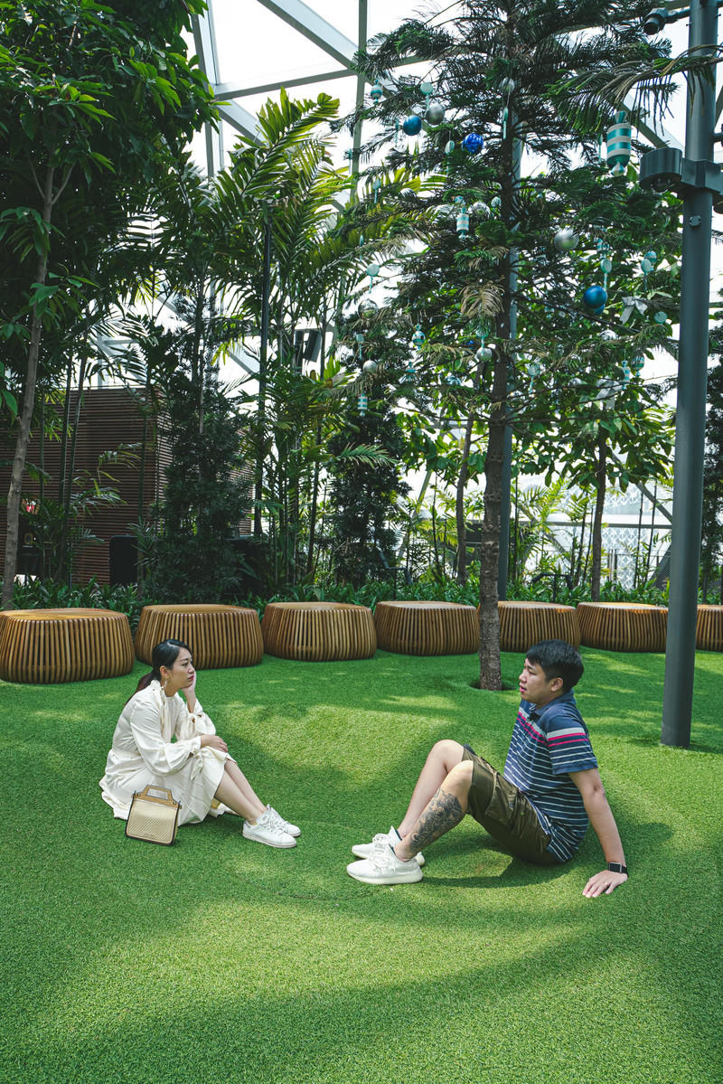 一人一猫环游,一人一猫旅行