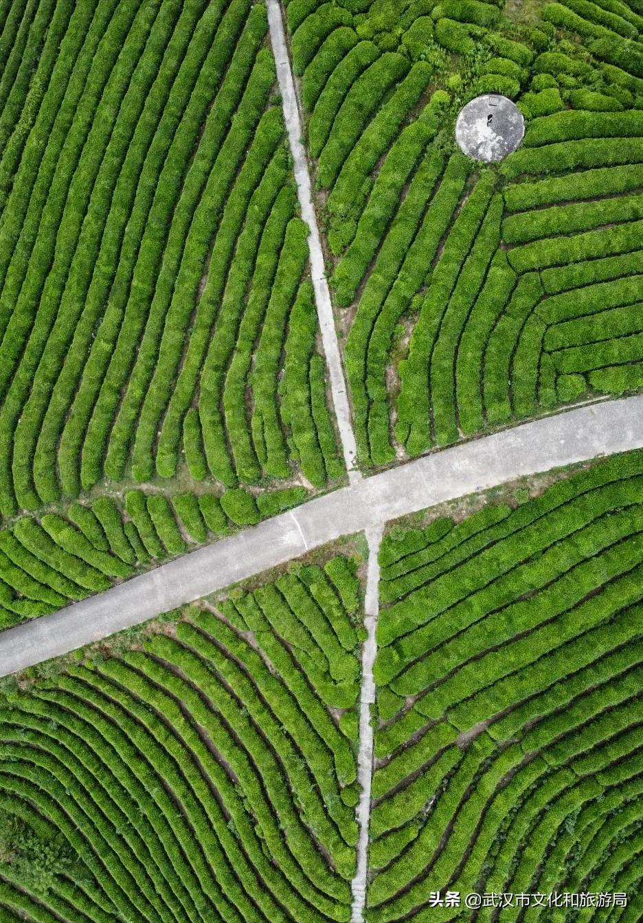 凤凰古城自驾十堰攻略,十堰晚上最美的路线