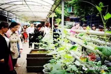 成都锦江学区划片图,锦江三区学区划分