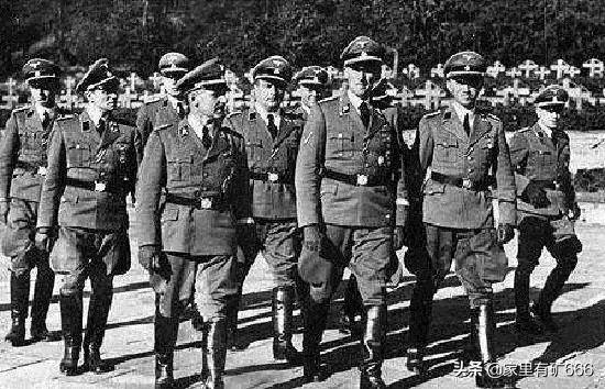 德意志黑王子,纳粹德国黑王子