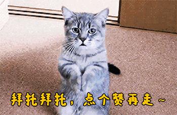 大型网课翻车现场小朋友,小学生网课大型翻车现场没关麦