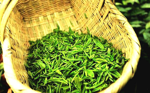 中国十大名茶排行榜前十名,中国十大红茶名茶最新排名