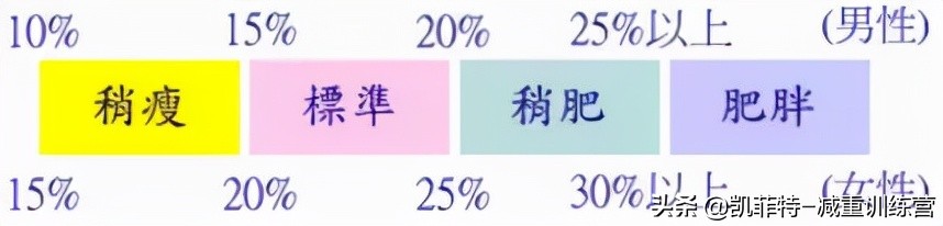 女生练出轻微马甲线体脂率多高,女性体脂率多少能够练出马甲线