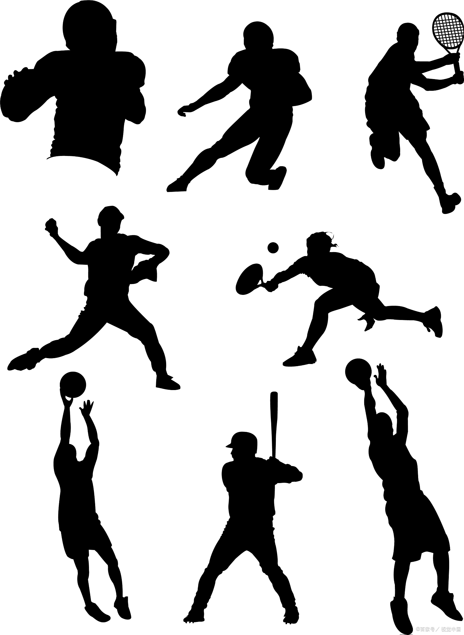 史上最完整、系统的体育观赛指南——《看比赛》