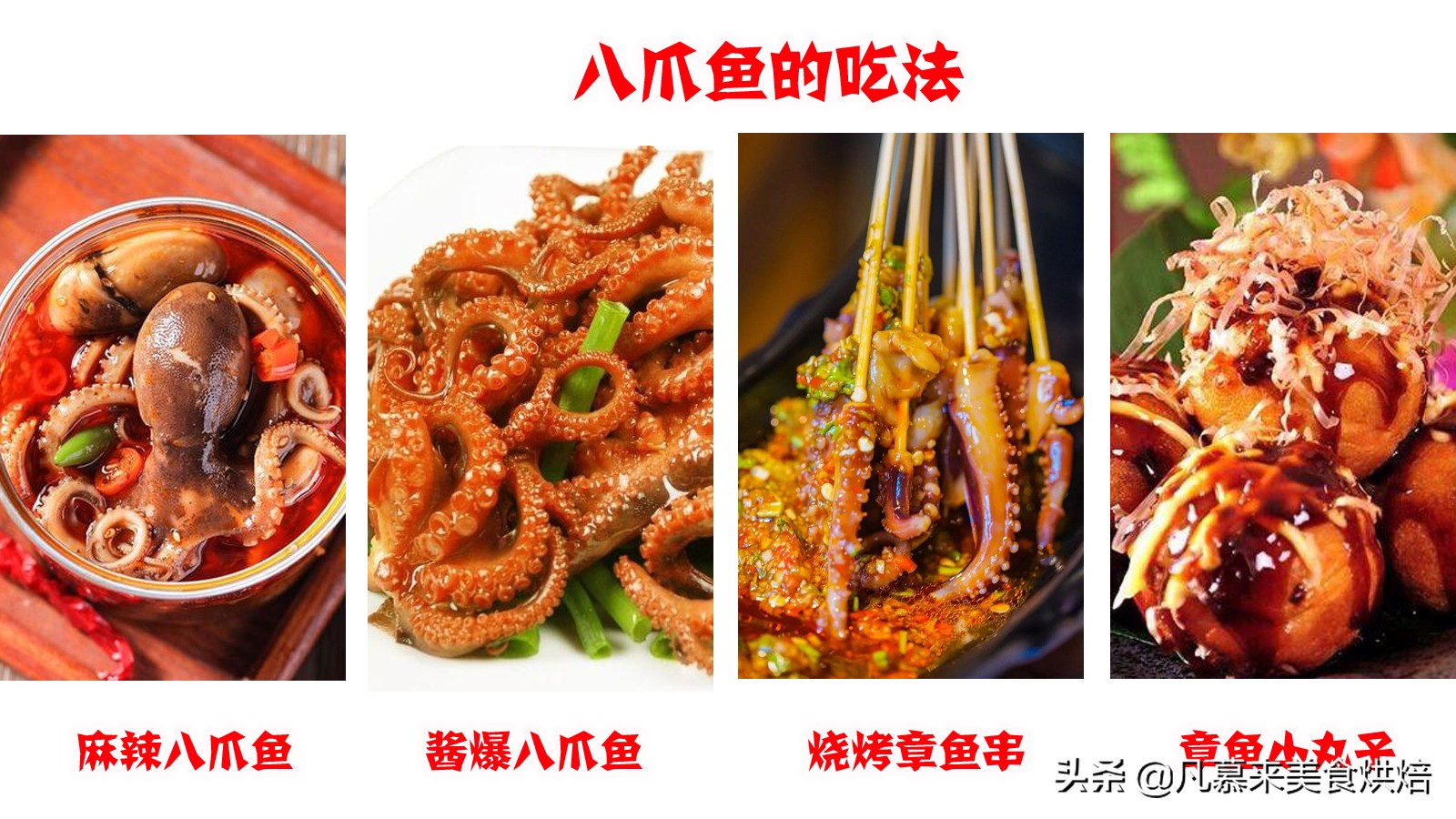 八爪鱼鱿鱼墨鱼海兔哪种好吃,鱿鱼海兔墨鱼八爪鱼区别