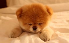 一个不算出名的大学的学生的一天