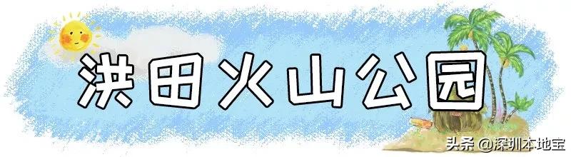 深圳免费的景点有哪些地方,深圳有哪些免费又好玩的地方景点