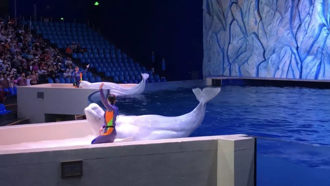 珠海长隆宇宙飞船附近民宿推荐,珠海长隆附近民宿公寓推荐