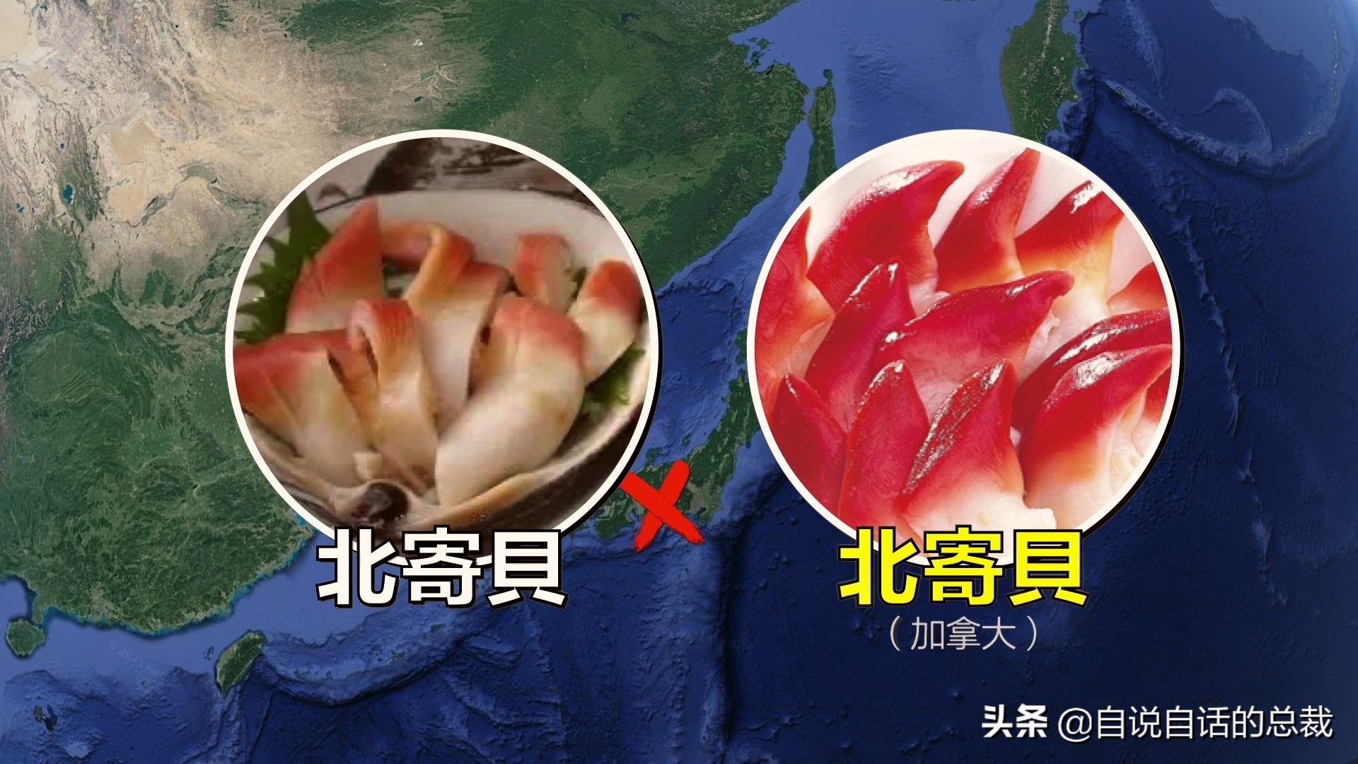 蚬蚌蛏的区别是什么,蚶子蛤蜊蚬子区别