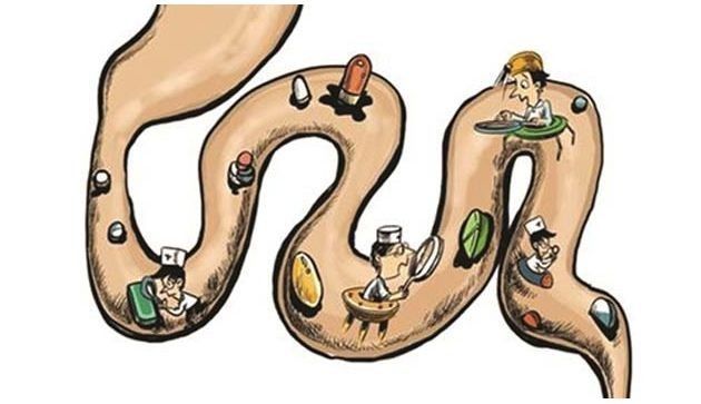 果蔬酵素能减肥真的假的,酵素增加代谢真的吗