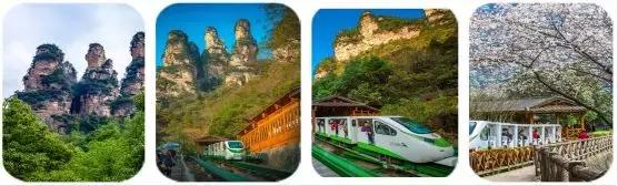 去张家界自助游攻略,张家界免门票自助游攻略图片真实