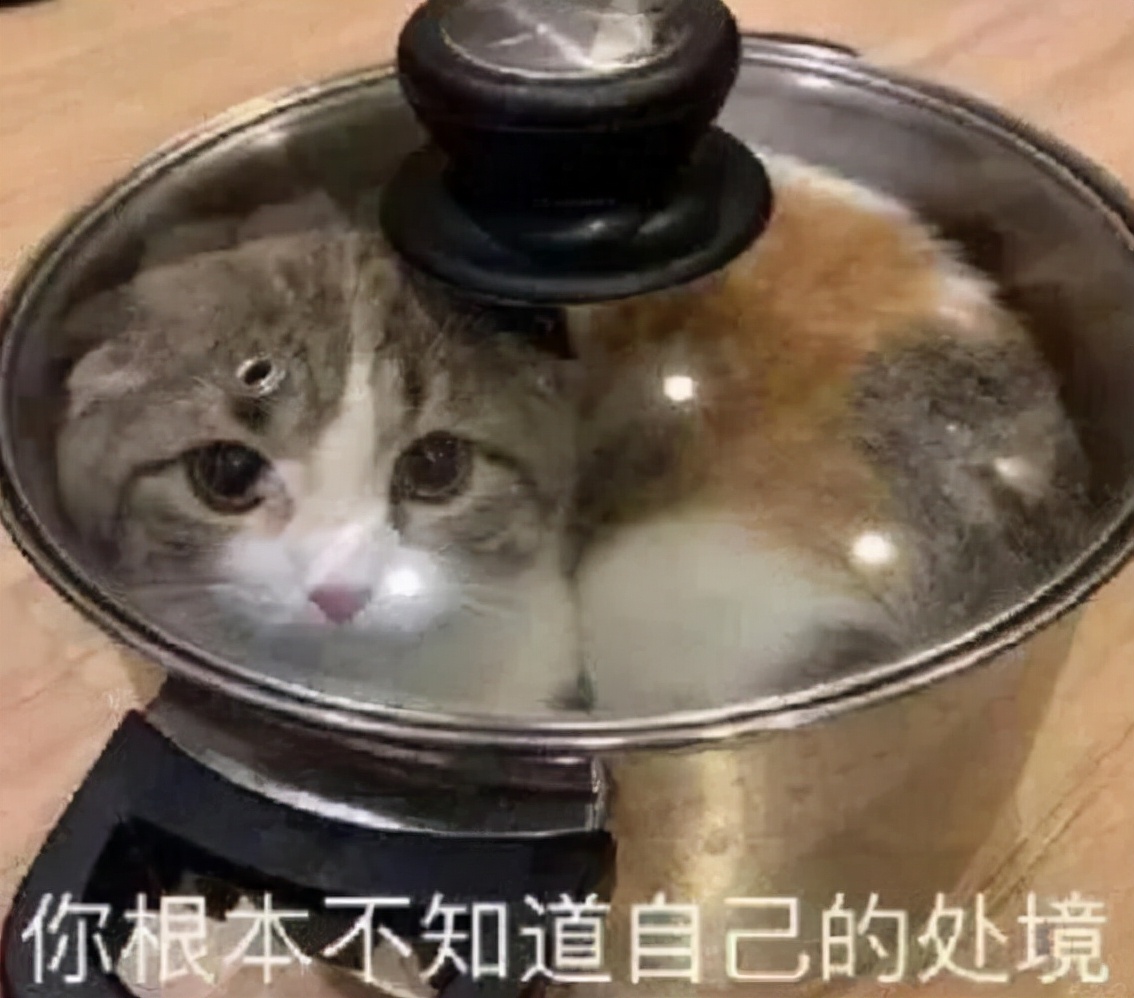 论00后的辞职信,00后扎心辞职信