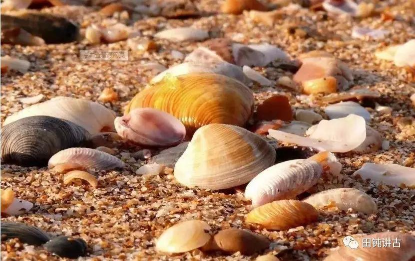 蛤没内衣与平阳田螺精