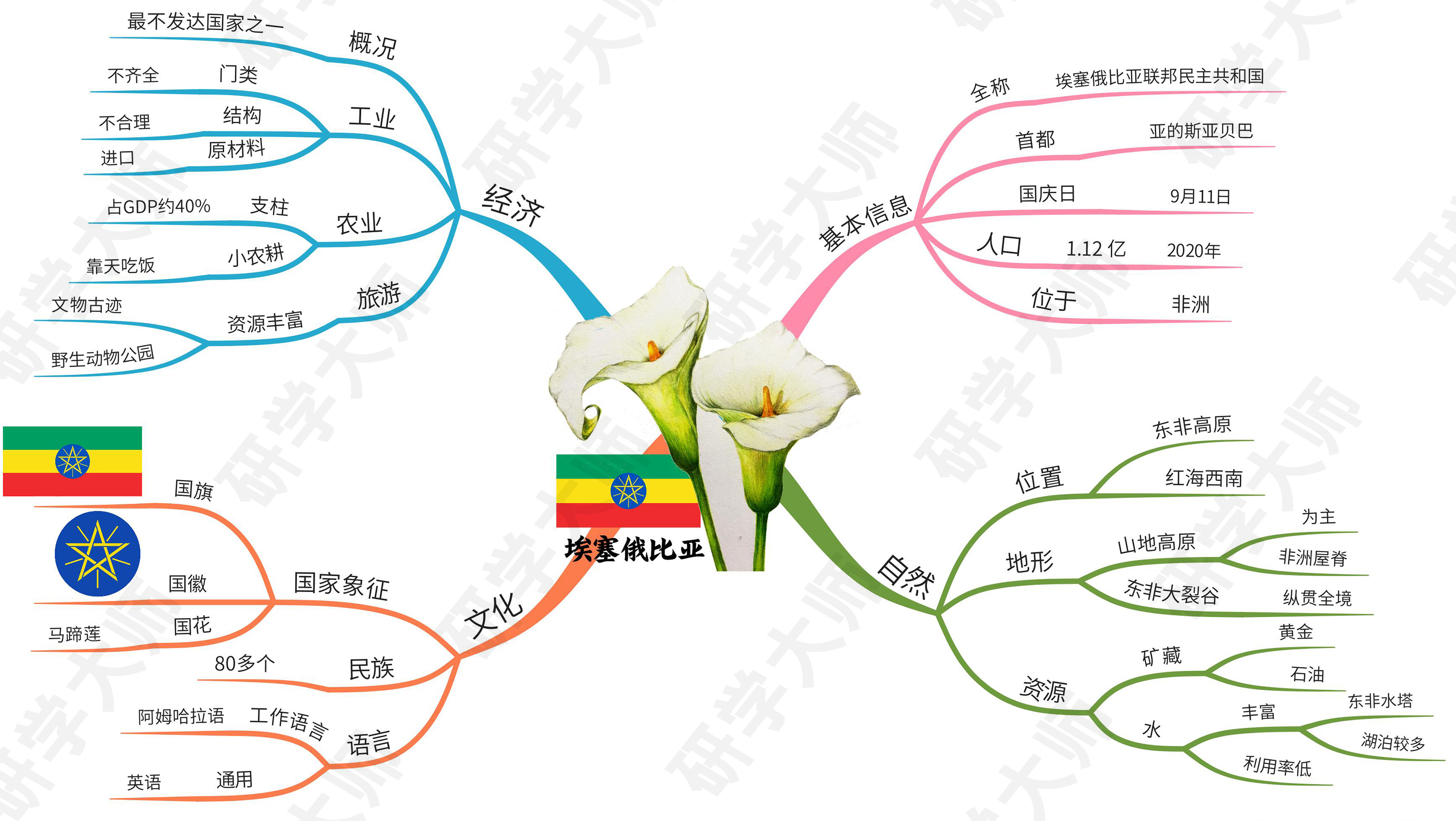 奥运会思维导图最最最简单的,北京冬奥会奥运项目思维导图