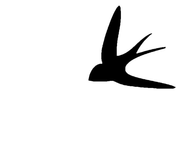 爱鸟周爱鸟护鸟,爱鸟周活动的目的是爱鸟护鸟吗