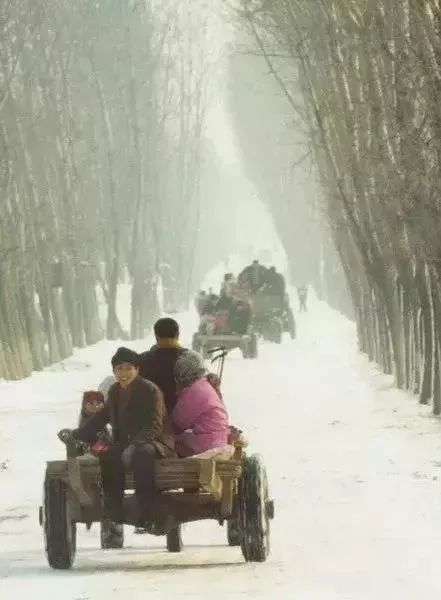 九张折射过年气氛的照片,百张罕见的过年老照片这才是年味