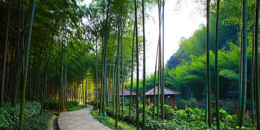 江苏省无锡市4a景区,江苏省无锡市旅游景区免费的