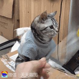 搞笑动图gif女司机,搞笑动图gif图片哪里下载