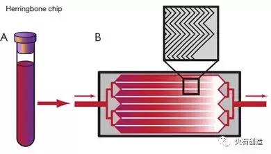 循环肿瘤细胞捕获方法的研究进展,扩增型循环肿瘤细胞检测数值高