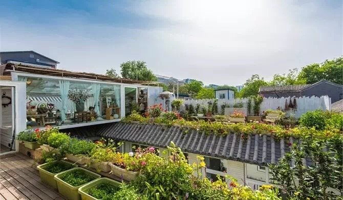 十大走心民宿排行榜,木鸟民宿上海迪士尼民宿大盘点