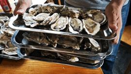 大光明自助生蚝,最真实的生蚝自助