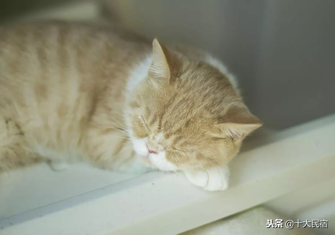 苏州西山旅游攻略三日游路线,苏州西山一日游最佳攻略冬天