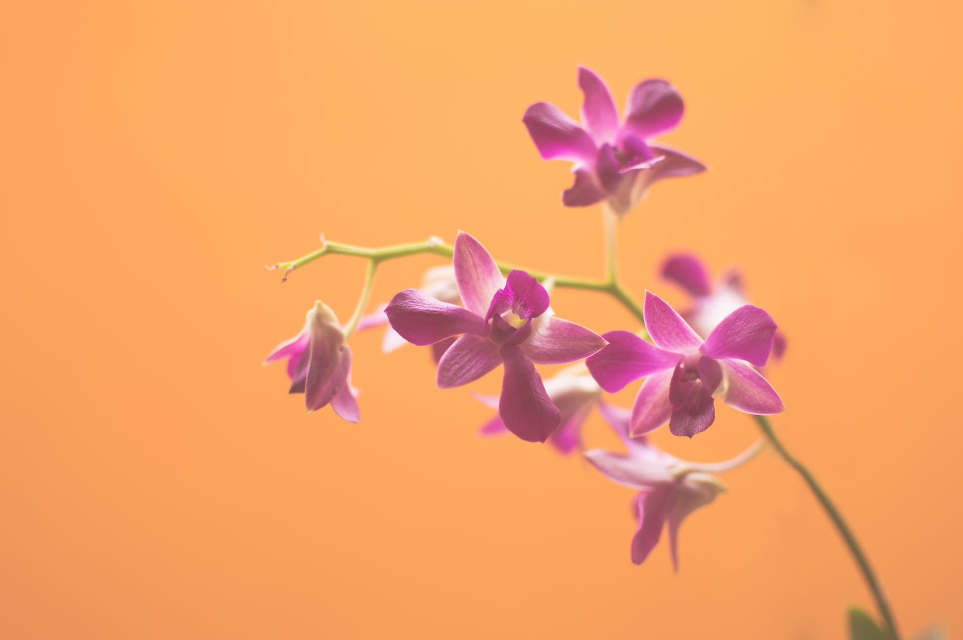 如何对付冷漠无情的伴侣,怎么跟冷漠的对象相处