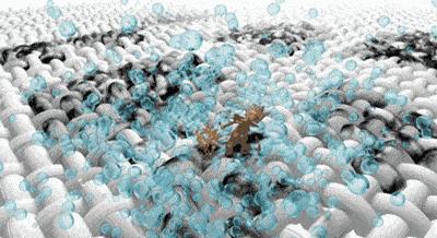 小白鞋男款2023爆款耐磨耐脏,选什么小白鞋好看又便宜又耐脏