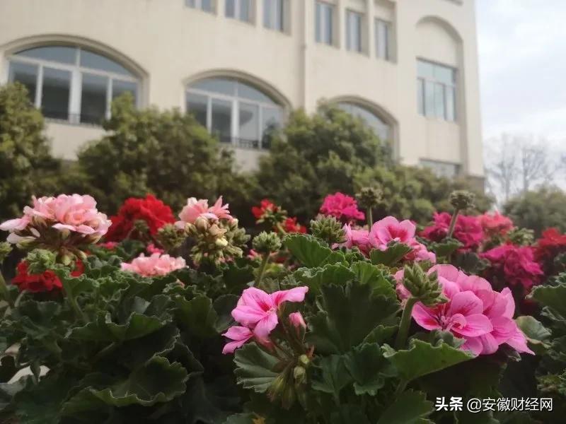 花都开好了现场完整版,花都开好了合唱合拍