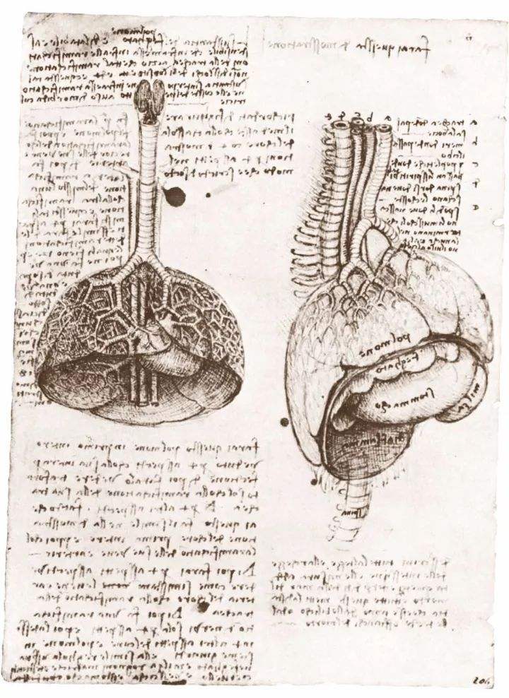 文艺复兴三杰达芬奇作品解读,最不可思议的四个艺术家