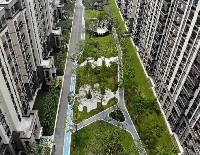 大局已定完整版视频,大局已定在线免费看