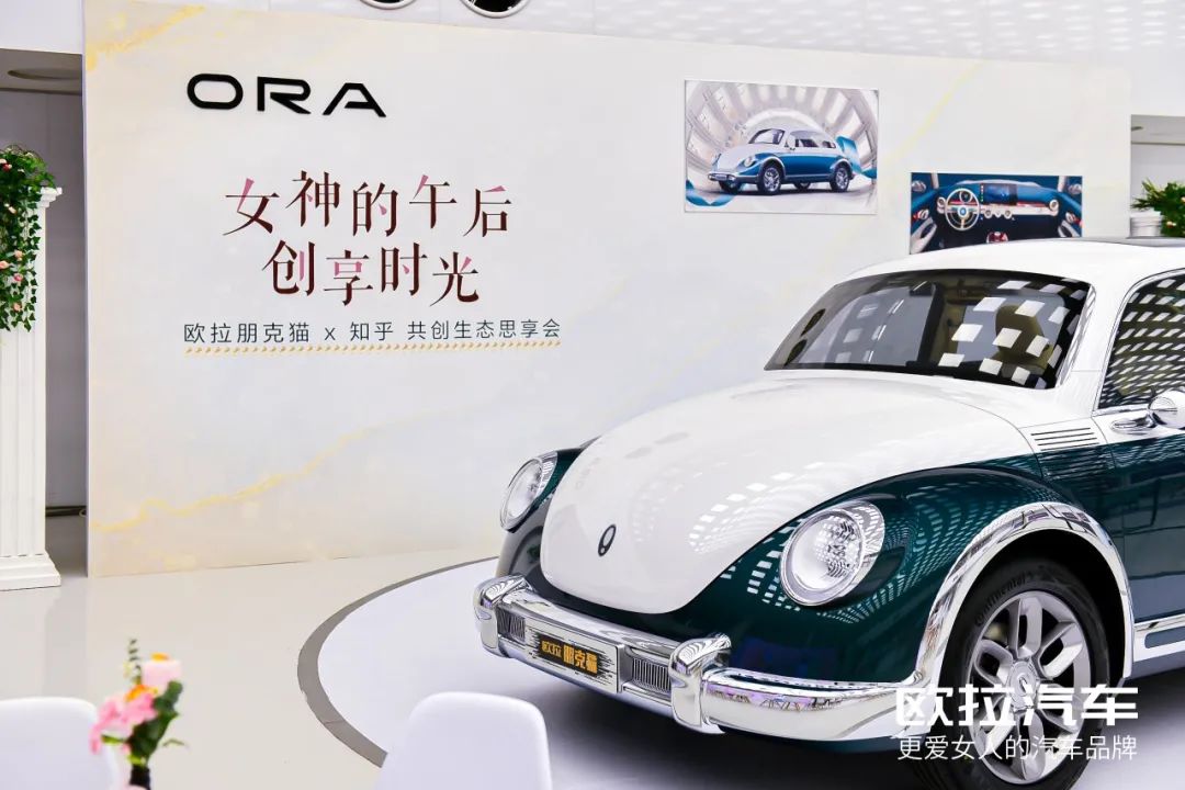 爱自己的女人都懂了有一种潮流叫朋克猫